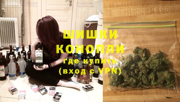 ГАЛЛЮЦИНОГЕННЫЕ ГРИБЫ Алексеевка