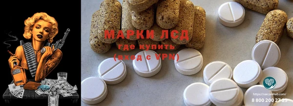 ГАЛЛЮЦИНОГЕННЫЕ ГРИБЫ Алексеевка