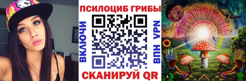 продажа наркотиков  Чехов  МЕГА как зайти  Галлюциногенные грибы ЛСД 